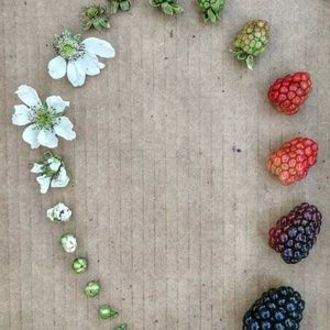 Meet your Posher, Marianne